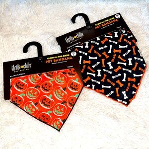 THRILLS & CHILLS GLOW -IN-THE-DARK PET BANDANA